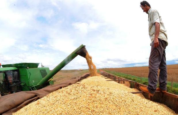 Valor da produção agropecuária é de R$ 504,4 bilhões este ano