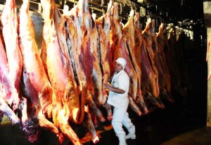 Exportações agropecuárias devem ter alta modesta em 2014, com destaque para carne bovina