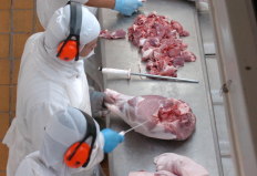 Cadeia brasileira da carne espera mais acesso a mercados internacionais em 2014
