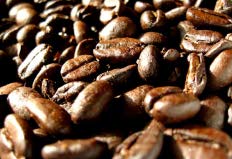 Queda na safra 2014/2015 já era esperada pelo setor cafeeiro