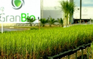 Granbio inaugura em março a fábrica de produção de etanol de segunda geração em Alagoas