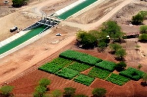Região do Canal do Sertão será polo de produção agrícola