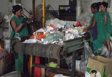 CGE firma parceria com cooperativa para doação de materiais recicláveis