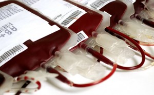 Ministério da Saúde alerta que apenas 1,9% da população é doadora de sangue