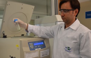 Microalgas: nova alternativa para a produção de biocombustíveis