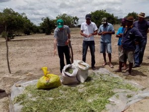 Dia de campo ensina estratégias para que agricultores aprendam a lidar com a seca