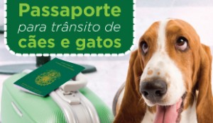 Passaportes para cães e gatos já podem ser requisitados