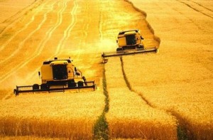 Brasil precisa de um amplo programa educação tecnológica para agropecuária
