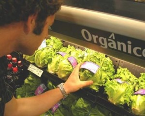 Venda de produtos orgânicos cresce mais de 20% ao ano