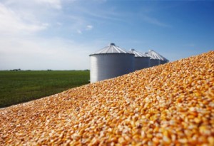 Déficit de armazenagem de grãos no país é de 40 milhões de toneladas por ano, estima Conab