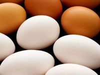 Demanda de ovos se enfraquece, mas oferta restrita sustenta cotação