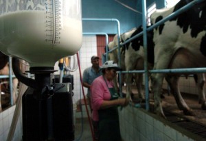 Alta de custo e queda no preço preocupa produtor de leite, diz estudo
