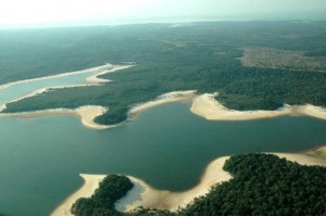 Pesquisa revela danos do fogo e exploração madeireira sobre a Amazônia