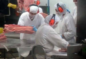 Carne suína está mais competitiva em junho, diz Cepea