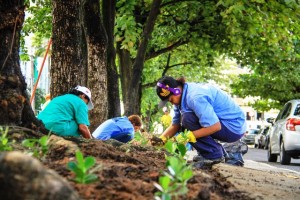 Meio Ambiente promove ações de arborização em Maceió
