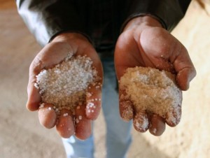 Matéria-prima da indústria, a ureia reforça a dieta do rebanho na seca