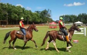Arapiraca sedia evento regional de criadores de cavalos