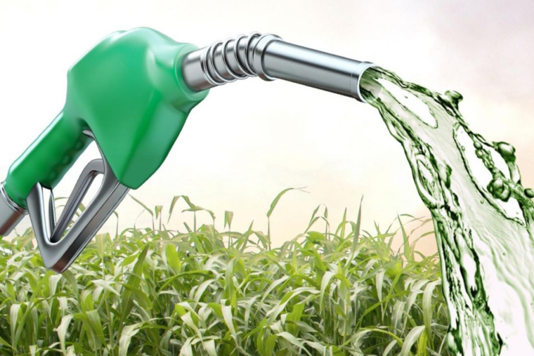 Governo estuda pacote de auxílio ao setor de etanol