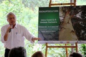 Alagoas será o segundo Estado com maior produção de eucalipto do Brasil