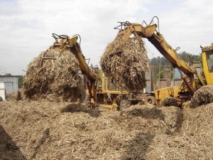 Biomassa é alternativa diante de crise hídrica em alguns estados brasileiros