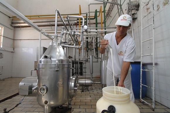 Usina de beneficiamento pode salvar cadeia produtiva do leite em Alagoas
