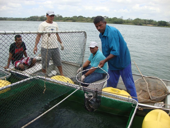 Revitalização da pesca e da aquicultura vai beneficiar mais de 40 mil pescadores