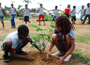 Educação ambiental terá destaque na comemoração do Dia Mundial do Meio Ambiente