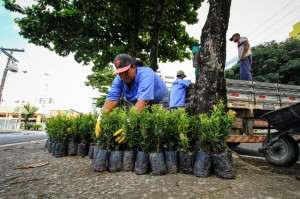 Prefeitura de Maceió lança Semana do Meio Ambiente