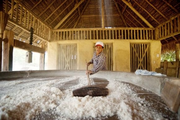 Desenvolve libera recursos para reabertura de casas de farinha