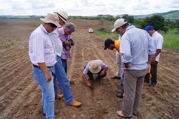Governo do Estado incentiva produtores de milho em Alagoas