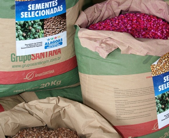 Mil toneladas de sementes beneficiam mais de 100 mil agricultores familiares em AL