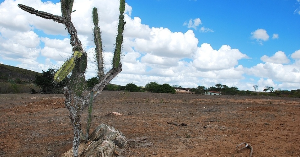 Comitê antecipa ações para minimizar efeitos da seca em Alagoas