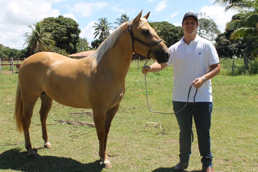 Alagoas Quarter Horse disponibiliza coberturas de grandes sucessos de Vaquejada