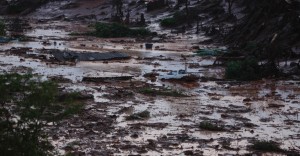 Rompimento da barragem é a maior catástrofe ambiental do Brasil, diz ministra