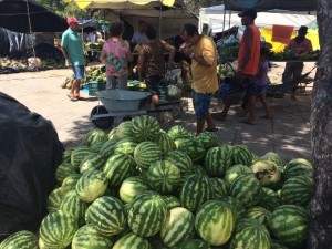 Feira Agrária traz a Maceió produção de assentamentos de todo o Estado