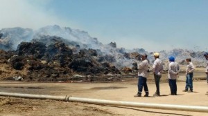IMA multa GranBio em R$ 570 mil por incêndios em estoque de palhas