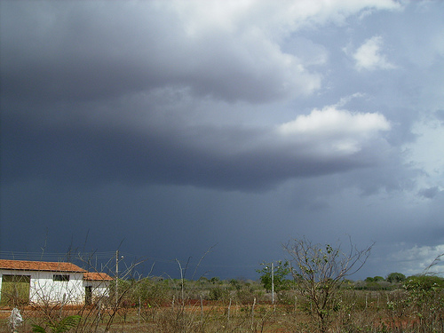Chuvas no Sertão aliviam seca mas população ainda depende de carro pipa