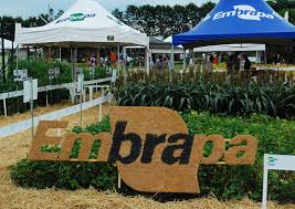 Parcerias com a Embrapa buscam aprimorar práticas agrícolas