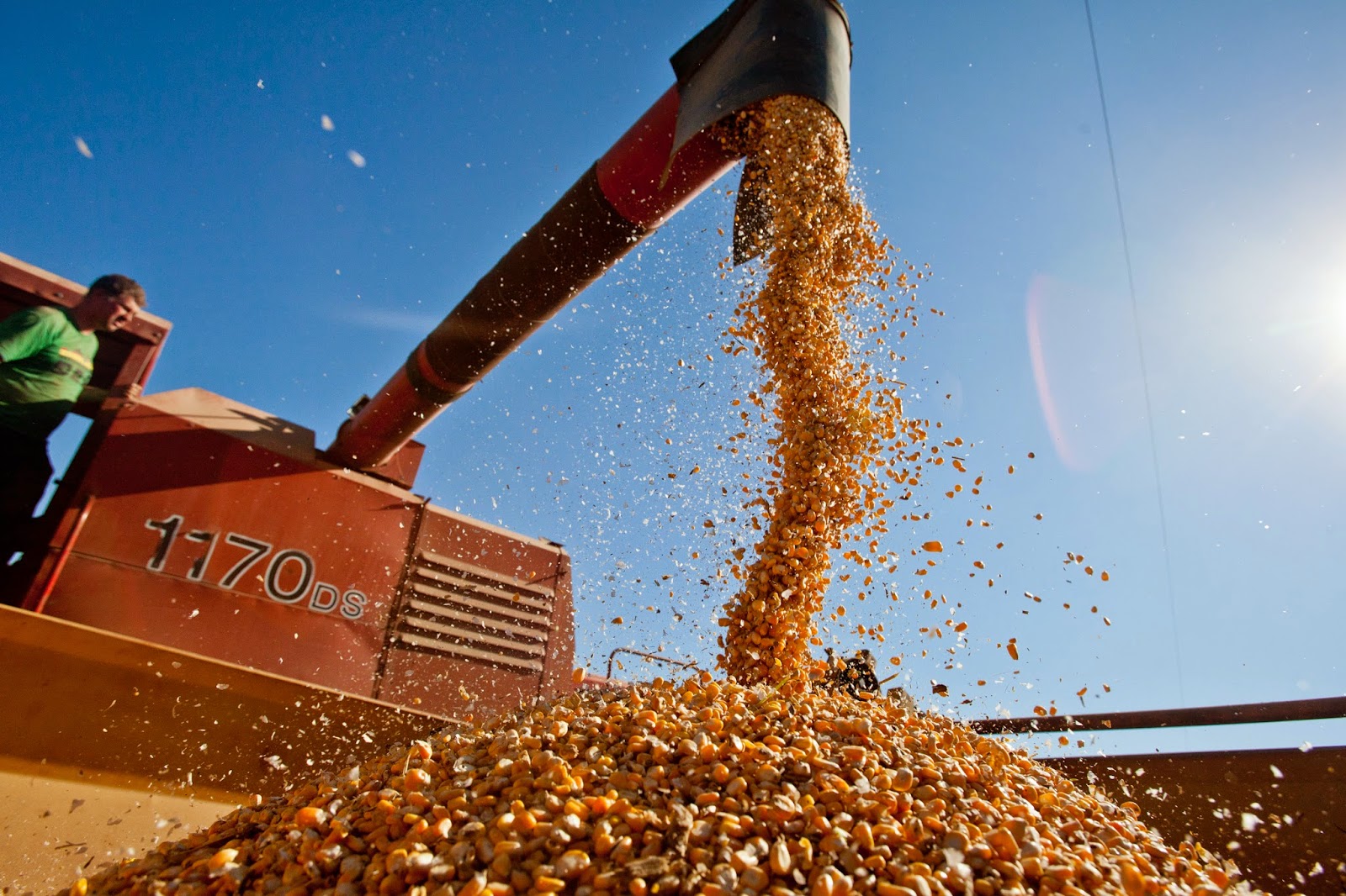 Concessão de crédito para produção de grãos em Alagoas tem aumento de 102%