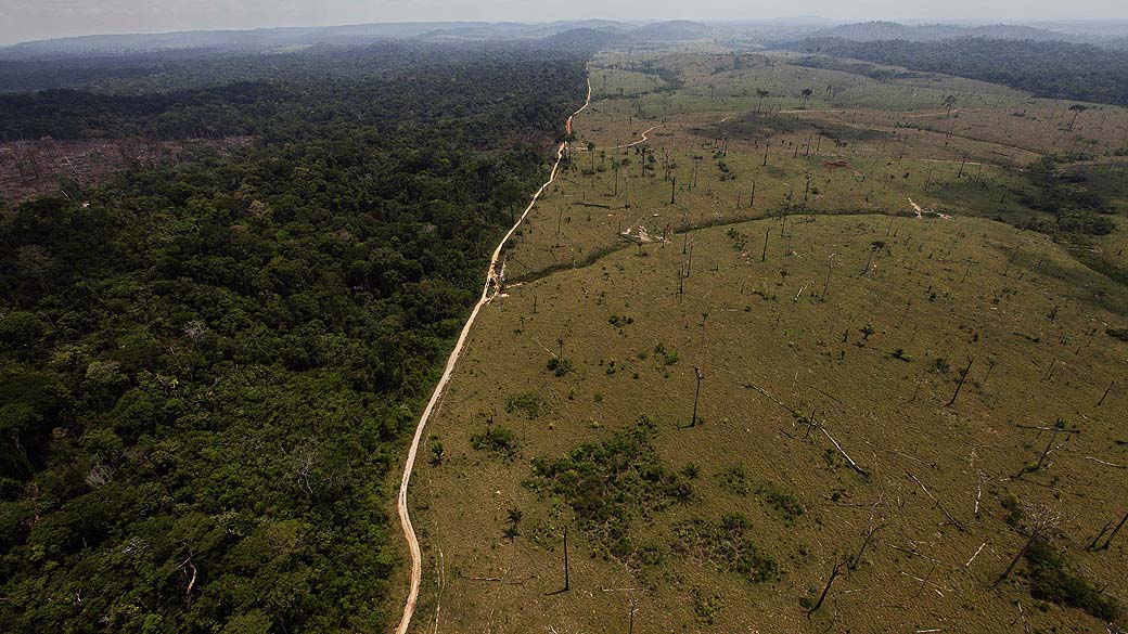 Alemanha suspende parte de verba que iria para a Amazônia