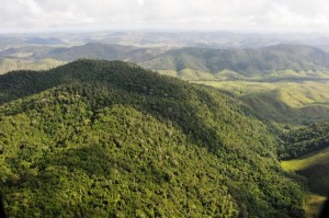 Inventário Florestal de Alagoas é apresentado durante palestra no IMA