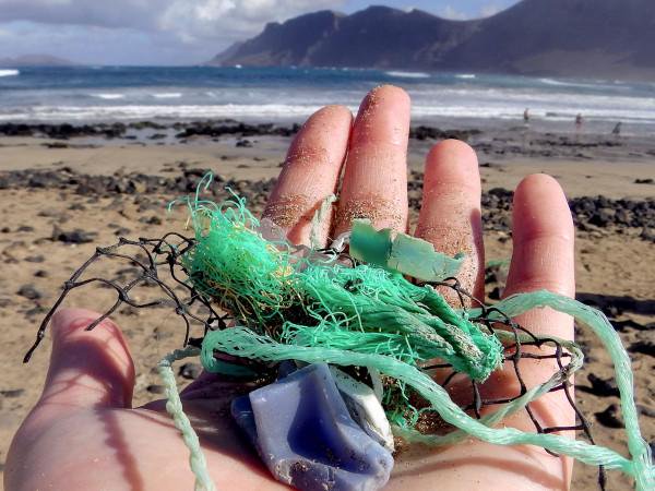 Plásticos são os principais predadores dos oceanos, mostra relatório