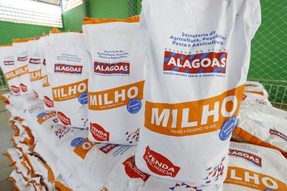 Renan Filho quer fazer Alagoas produzir 100 mil toneladas de milho