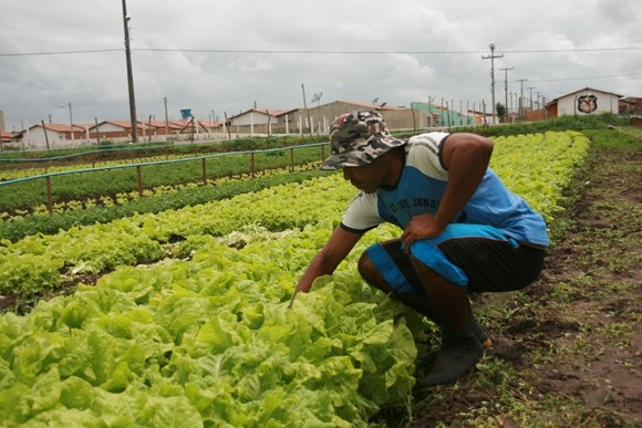 Meteorologista diz que 2015 será positivo para agricultura
