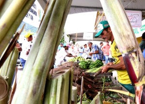 Feira Integrada dos movimentos sociais e povos tradicionais de Alagoas movimenta Maravilha