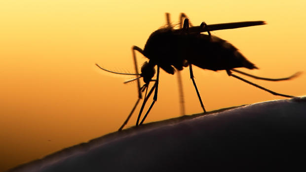 Maceió já registra 2.635 casos notificados de dengue em 2016