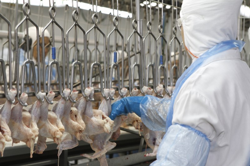 OMS fala sobre a China ter detectado coronavírus em frango brasileiro
