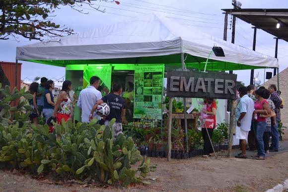Emater/AL tem programação multitemática durante a Expoagro 2016