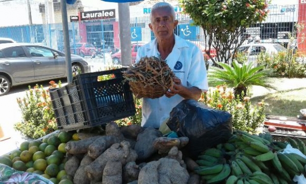 Produção artesanal do feijão guandu gera renda às famílias em Alagoas
