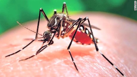 Epidemia de zika reacende debate sobre interrupção da gravidez